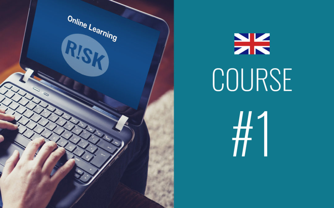 Course 1: Introduction Into Risk Management